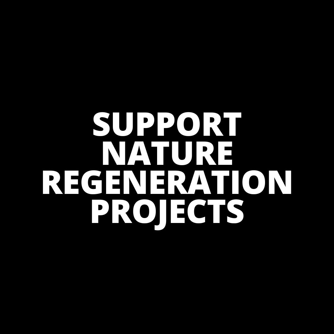 Katapult tweet media