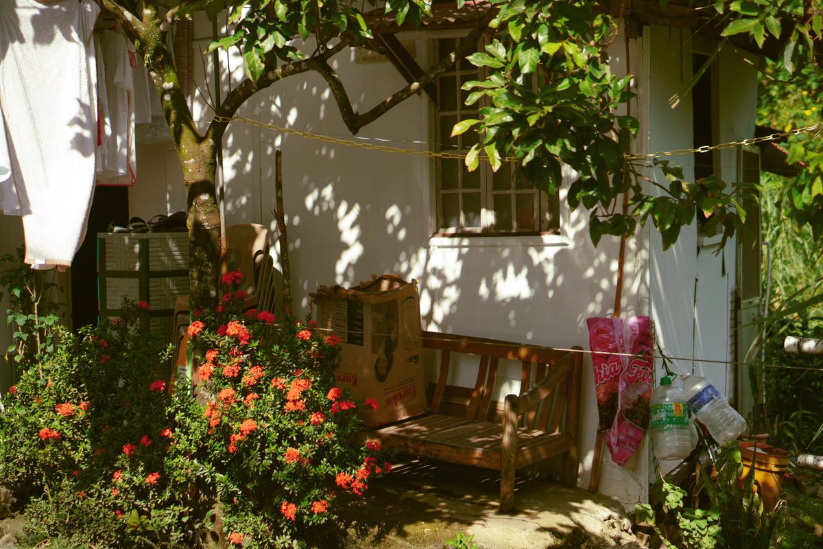 KahlilAlcala's tweet photo. dappled sunlight https://t.co/Tx5lRQG14E