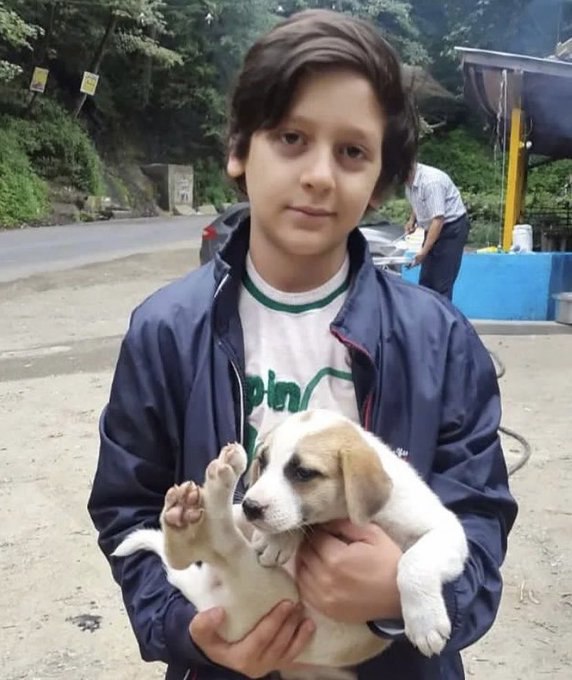 Ali Ahmadnia | علی‌ احمدنیا tweet media