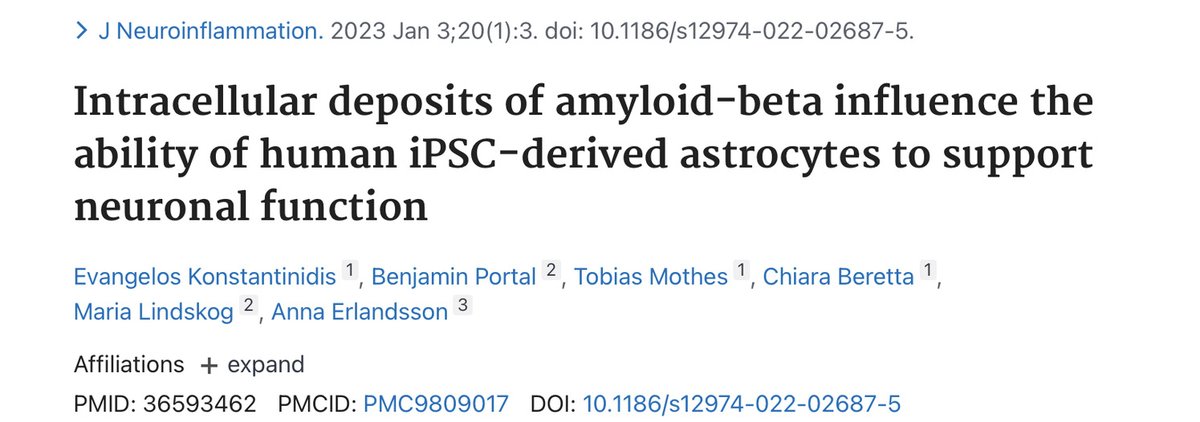 AstroLab_se's tweet image. Check out our new #collaborativework on #Abeta and #astrocytes' functions pubmed.ncbi.nlm.nih.gov/36593462/ 
A very challenging and interesting work
