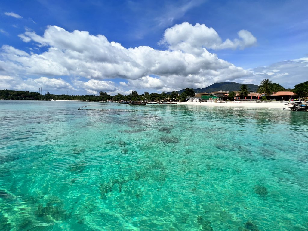 Ricki. Fei tweet media