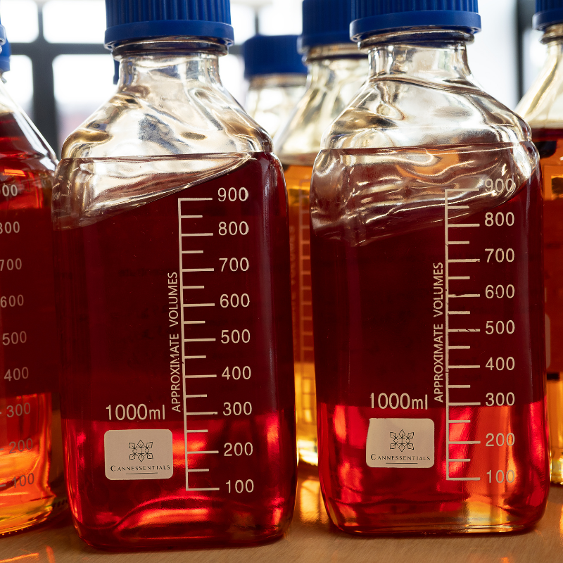 What are the Reported benefits of Delta-9 THC?
<a href="420labextracts.com/delta-9-distil…"rel="dofollow">read more</a>.