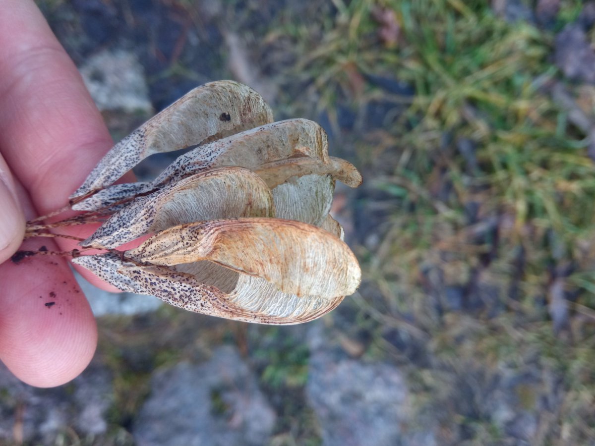 The content is contained by the container