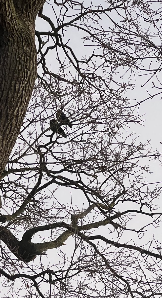 On a cold morning in London.
Romance is timeless!