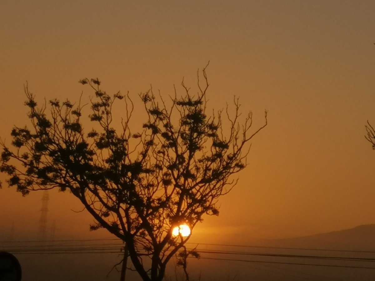 SunsetSnaps's tweet image. RT @IgFC86: 😊🌄❤️👑Amanecer de los Reyes magos 😊🌄❤️👑 #visualeffectssociety #visualeffects #lovevideo #internetmarketing #photography #sky #sunsetphotography #sunsetpics #felicesreyes #reyesmagos #felicesreyes #amanecer #sunsetphotography