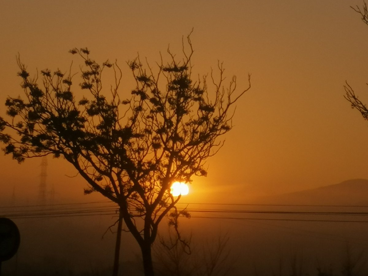 SunsetSnaps's tweet image. RT @IgFC86: 😊🌄❤️👑Amanecer de los Reyes magos 😊🌄❤️👑 #visualeffectssociety #visualeffects #lovevideo #internetmarketing #photography #sky #sunsetphotography #sunsetpics #felicesreyes #reyesmagos #felicesreyes #amanecer #sunsetphotography