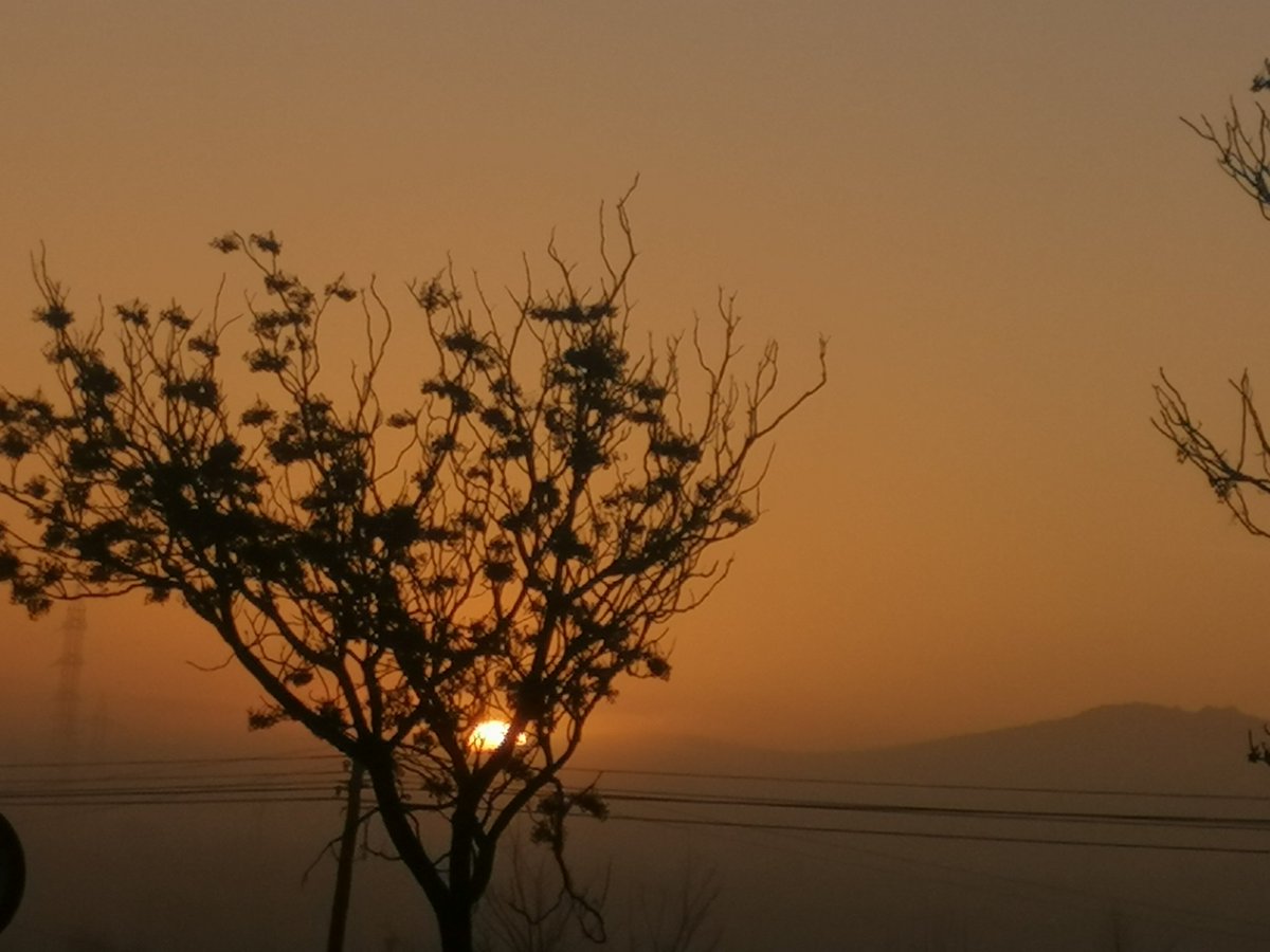 SunsetSnaps's tweet image. RT @IgFC86: 😊🌄❤️👑Amanecer de los Reyes magos 😊🌄❤️👑 #visualeffectssociety #visualeffects #lovevideo #internetmarketing #photography #sky #sunsetphotography #sunsetpics #felicesreyes #reyesmagos #felicesreyes #amanecer #sunsetphotography