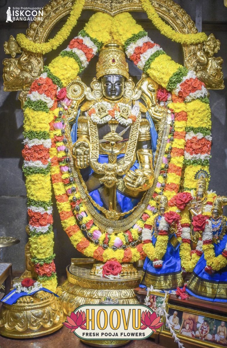 hoovufresh's tweet photo. Alankara @ISKCONBangalore temple with flowers from @hoovufresh 

@MillionPageProj @ykaruturi57 
#hoovu #HoovuFresh #temple #iskcon #iskcontemple #iskconbangalore #alankara #flowers #freshflowers #SharkTankIndiaS2 https://t.co/0vBOsEYWtX
