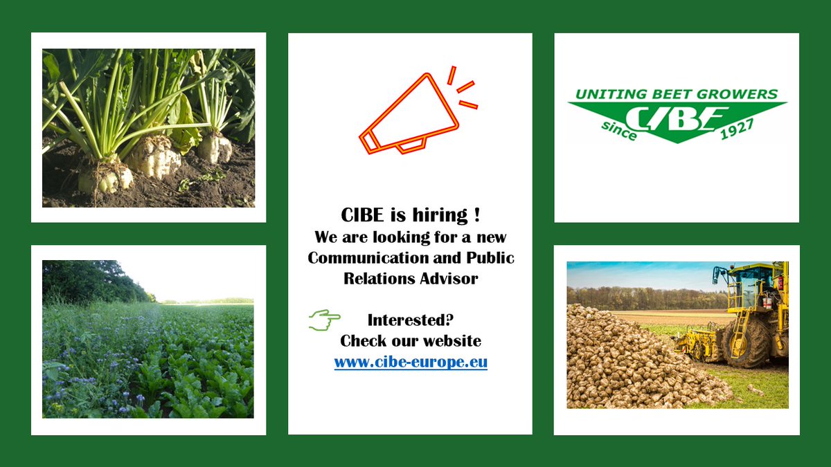 📢. <a href="/SugarBeetEurope/">C.I.B.E.</a> is hiring! We are looking for a Communication and Public Relations Advisor. Interested in #agrifood, #EUaffairs , #Sustainability &amp; global challenges? Apply here 👉bit.ly/3WONwfH