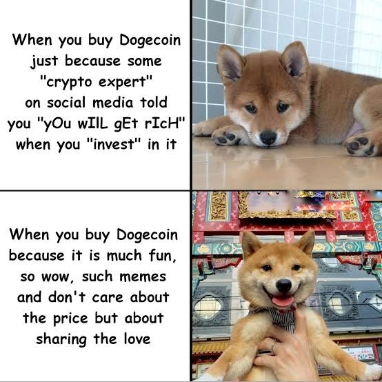 DjBishal11's tweet photo. The idea is compelling. I am thrilled to pursue this project. Hoping to see it in bigger places.
$DOGE
#memecoins #BitMartMemecoins

@Ana19088 
@Ayman72065373 
@Tanvir98316935 
@KalaManik111
@Tashu1122 https://t.co/fycfVom3Ep