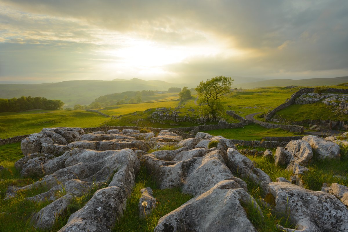 yorkshire_dales's tweet photo. We're sharing our favourite views with you and we love this summer evening view of #Winskill Stones Nature Reserve π
This area is home to an amazing section of limestone pavement β¬οΈ
https://t.co/D98eQ3tt3l
πΈ Kev Lockwood
#Ribblesdale #YorkshireDales #Limestone https://t.co/aYhPm47xzV