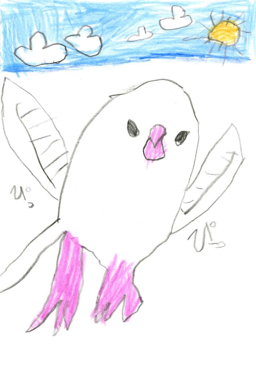 「6歳児、最近さまざまな文鳥の絵を描くようになったんだけど、とてもよい… 」|emiのイラスト
