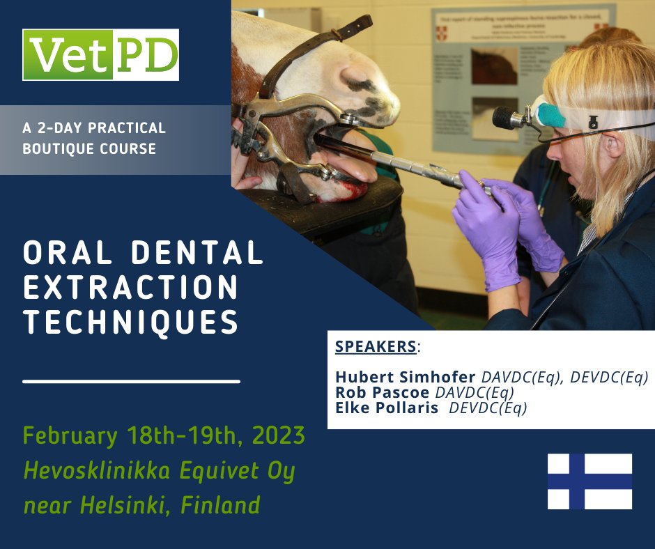 We're looking forward to our upcoming course on Equine Oral Dental Extraction Techniques on 18th-19th February near Helsinki, Finland.
https://t.co/J665YRGzRl

#equinevet #equineveterinarian #veterinary  #horsehealth #horsevet #veterinaryCE #veterinarycontinuingeducation #vetce https://t.co/ViZPyN2PVY