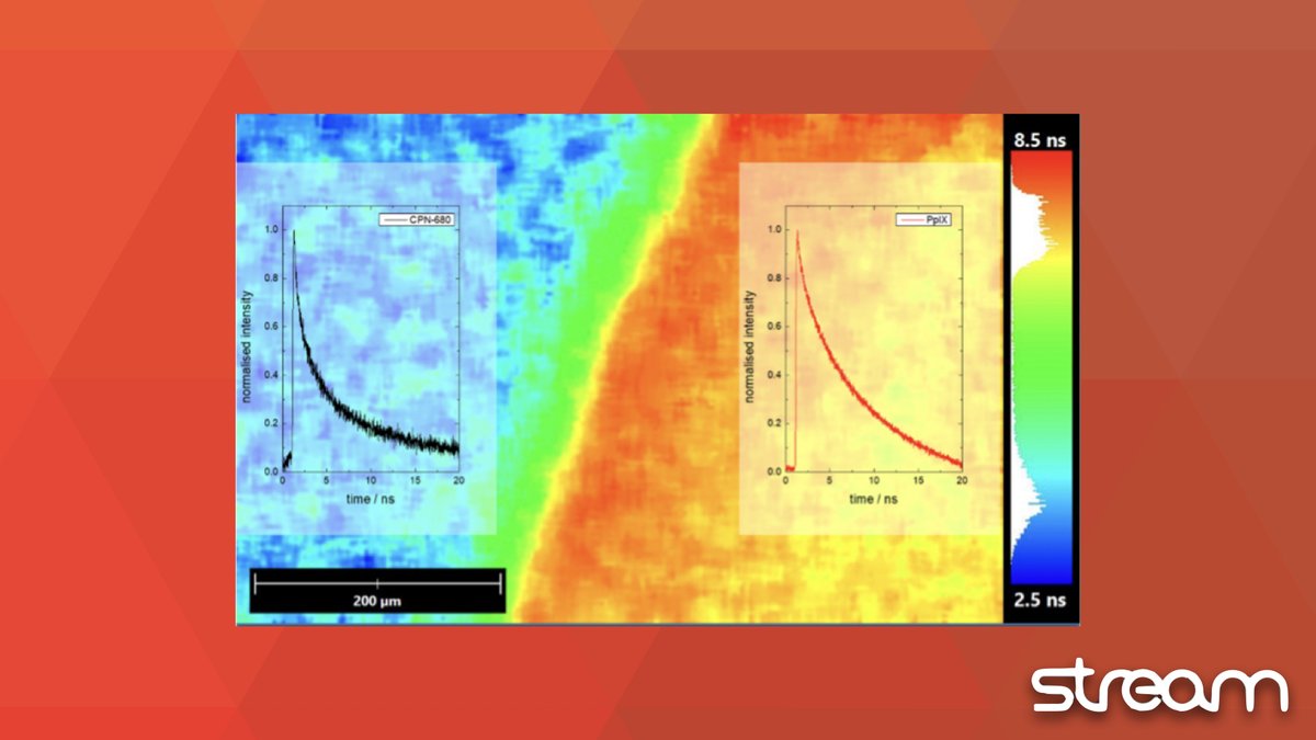 Happy #FluorescenceFriday! 

We’re showcasing our research collaboration with @HScientific!

The image below shows the clear demarcated #tumour boundaries we achieved using #CPN 680 alongside the fluorophore Protoporphyrin IX (PpIX) ✨