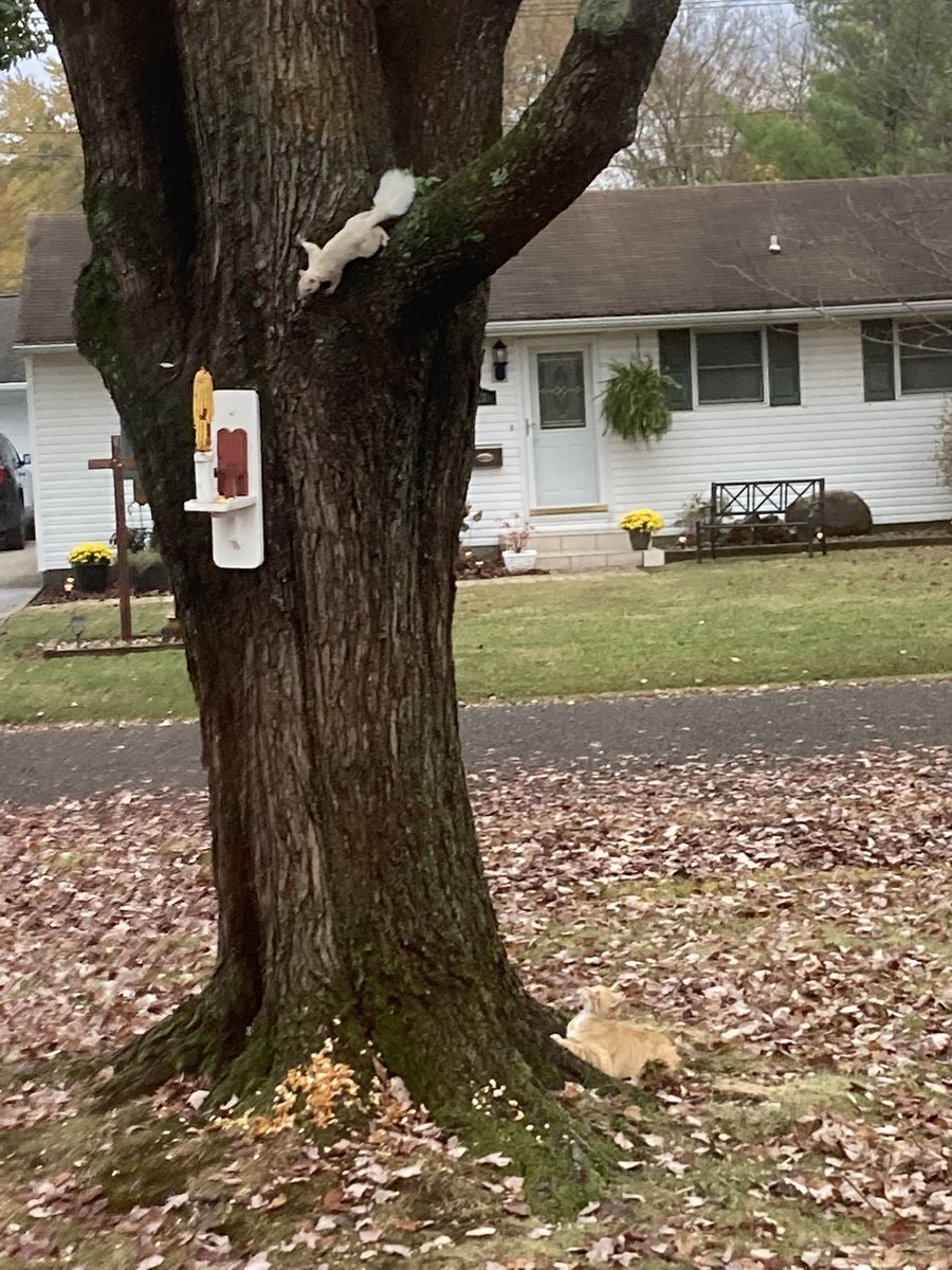 I’m ready to go!!!