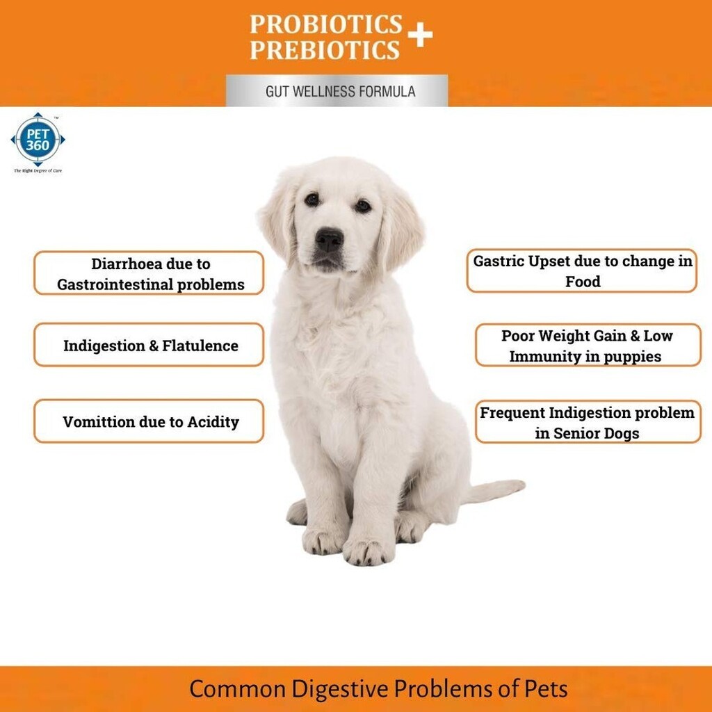 InkaDeals's tweet photo. PET360 PROBIOTICS + PREBIOTICS Gut Wellness Formula for Dogs &amp; Cats » Rs. 505.00

PET360 PROBIOTICS + PREBIOTICS Gut Wellness Formula for Dogs &amp; Cats (2.5 Billion CFU Yeast + 150 Million CFU Lactic Acid Bacilli with MOS &amp; FOS to improve digestion &amp; control diarrhoea) {20 Sac… https://t.co/4jTnarMMHJ
