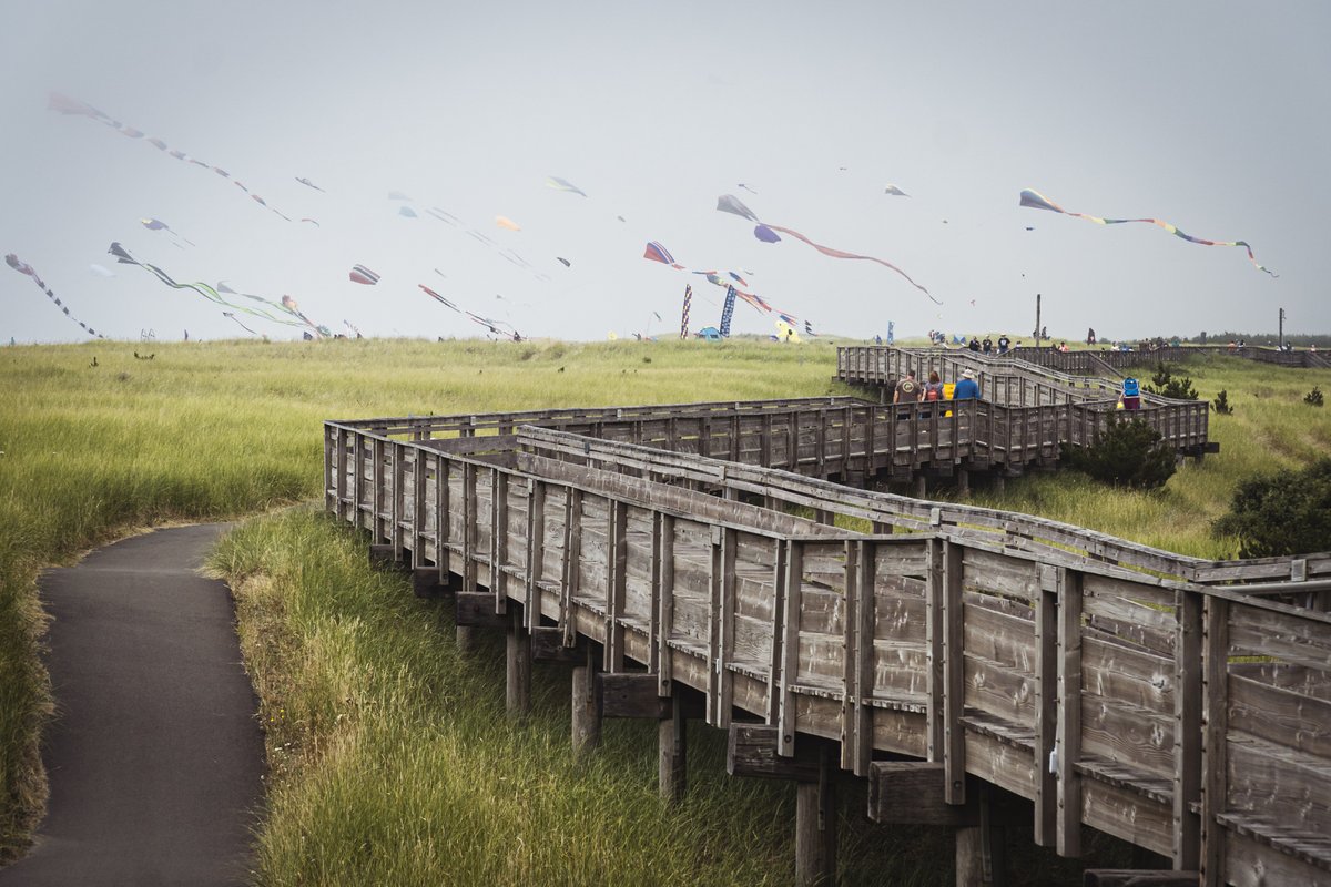 studioGRACIOUS's tweet photo. The #PacificNorthwest in August 2022 offered a mix of #WillametteValley #sun and misty days on the #WashingtonState coast. #favefour #travel #wine #photography #graciouspix #SonyAlpha #beach #seaside #summer #kites https://t.co/O81wuZqVPE