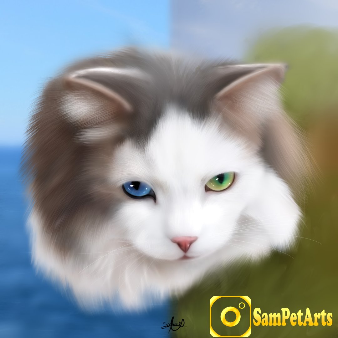 sampetarts's tweet photo. 🌊Blue as the ocean
🌲Green as the forest

That's what those beautiful #cat eyes remind me of!✨

✍️So I painted these scenes behind the cat painting. I think it looks really cool!

👀What do your cat's eyes remind you of? Comment here!🥰

#Caturday #catlife https://t.co/nsqt7vXK35