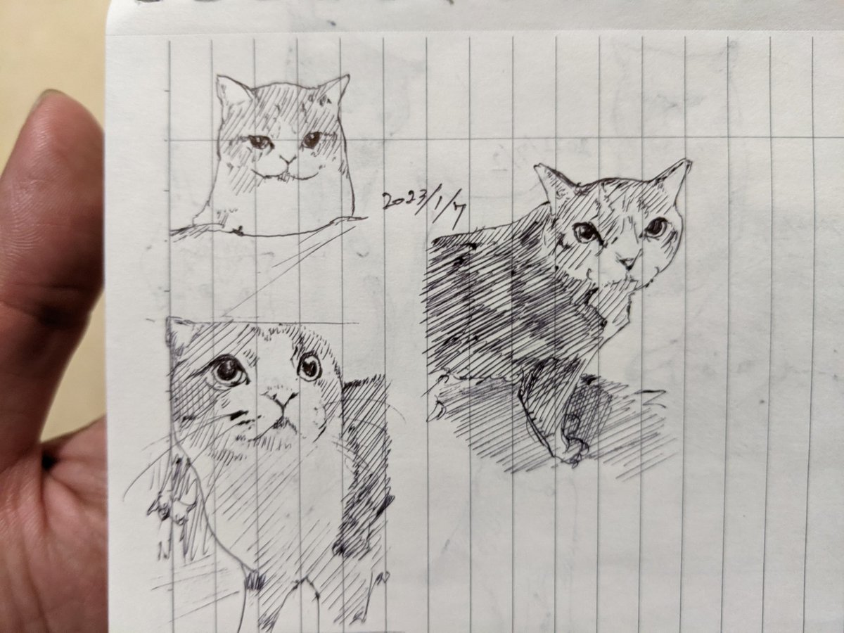 時には、問いが複雑になっているだけで、答えはごくシンプルなことだったりします ドクタースース カキカキ。 