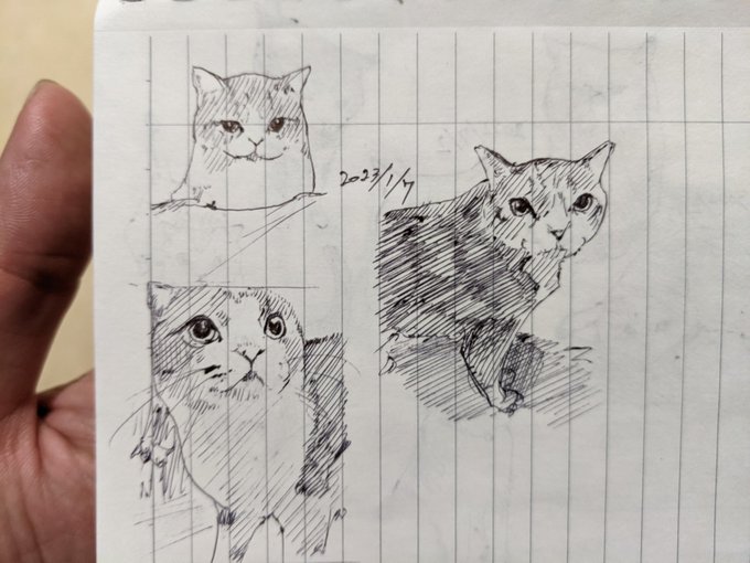 時には、問いが複雑になっているだけで、答えはごくシンプルなことだったりします ドクタースース カキカキ。 