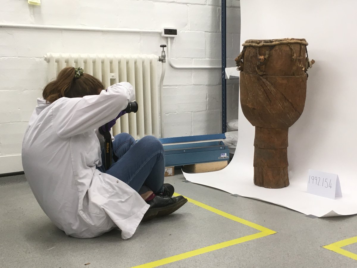 Museum of Archaeology and Anthropology tweet media