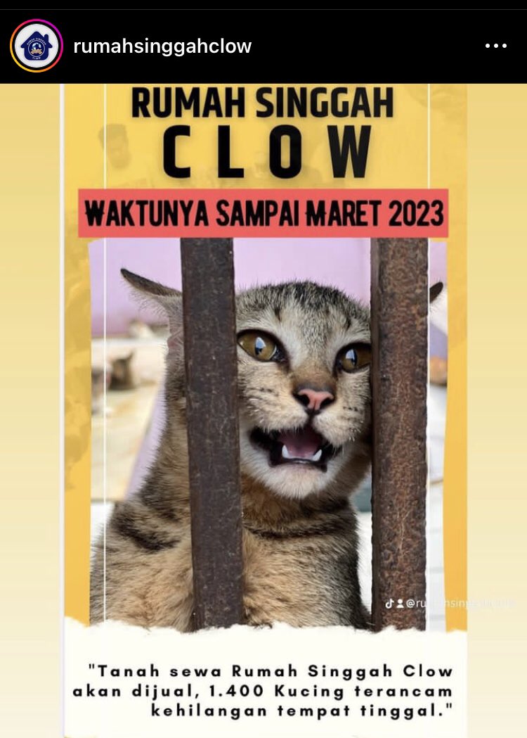 🐈‍⬛ Guys ayo bantu rumahsinggahclow🥺 untuk info lebih lanjut bisa langsung kunjungi ig: rumahsinggahclow