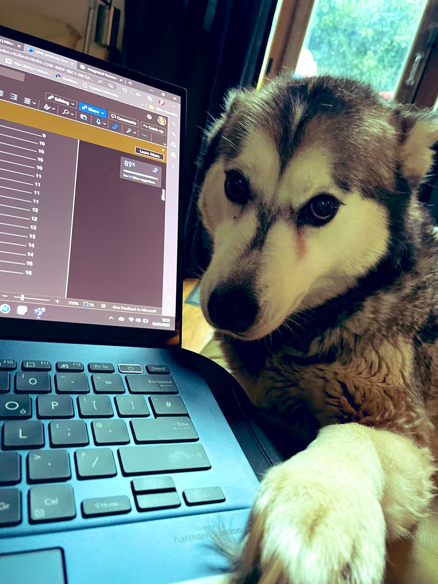 LorenaHall77's tweet photo. “I help” *

#PhDBuddy #LorenasPhd 

*translates as “stop typing and fuss me” https://t.co/nI90wFV7Qj