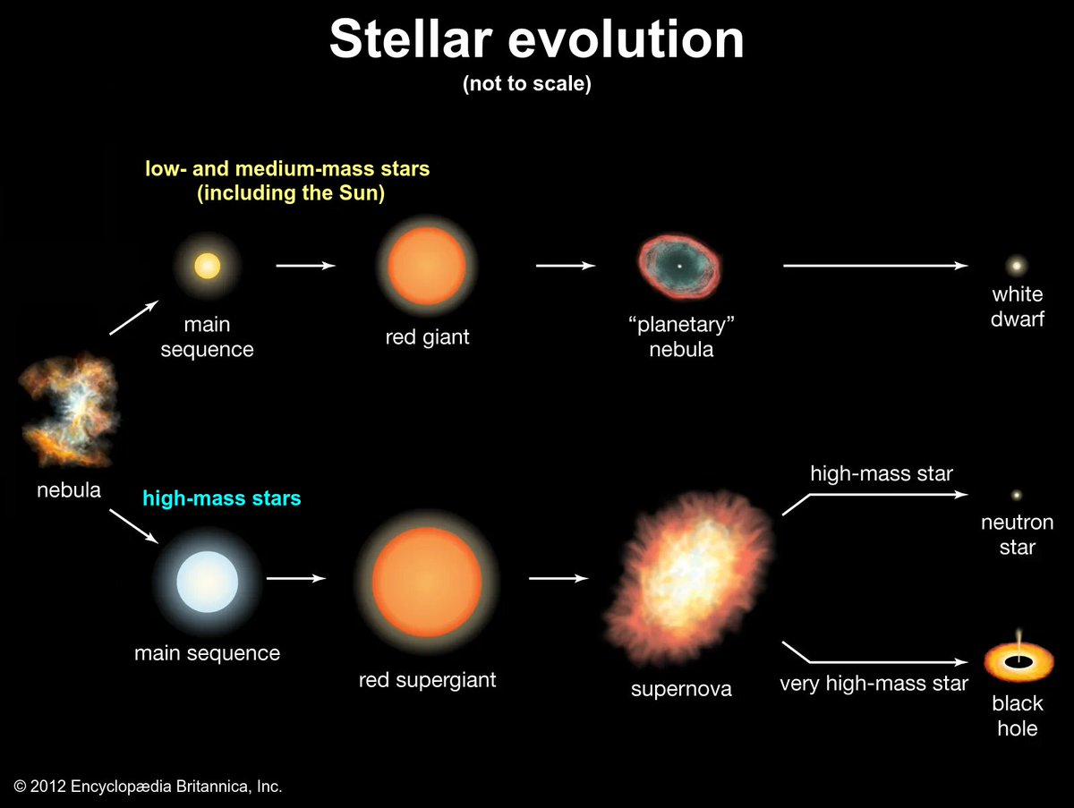 Acertou quem disse anã marrom!

Estrelas evoluem de formas diferentes, dependendo principalmente de sua massa. No fim de suas vidas, elas expelem suas camadas externas, sobrando um objeto remanescente (anã branca, estrela de nêutrons ou buraco negro) ✨ #AstroQuizBR