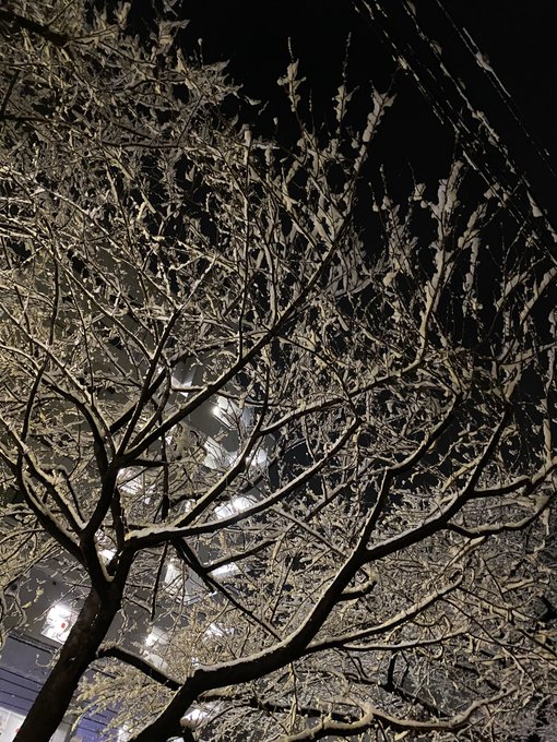 去年の1月6日は東京雪降ったよね… 