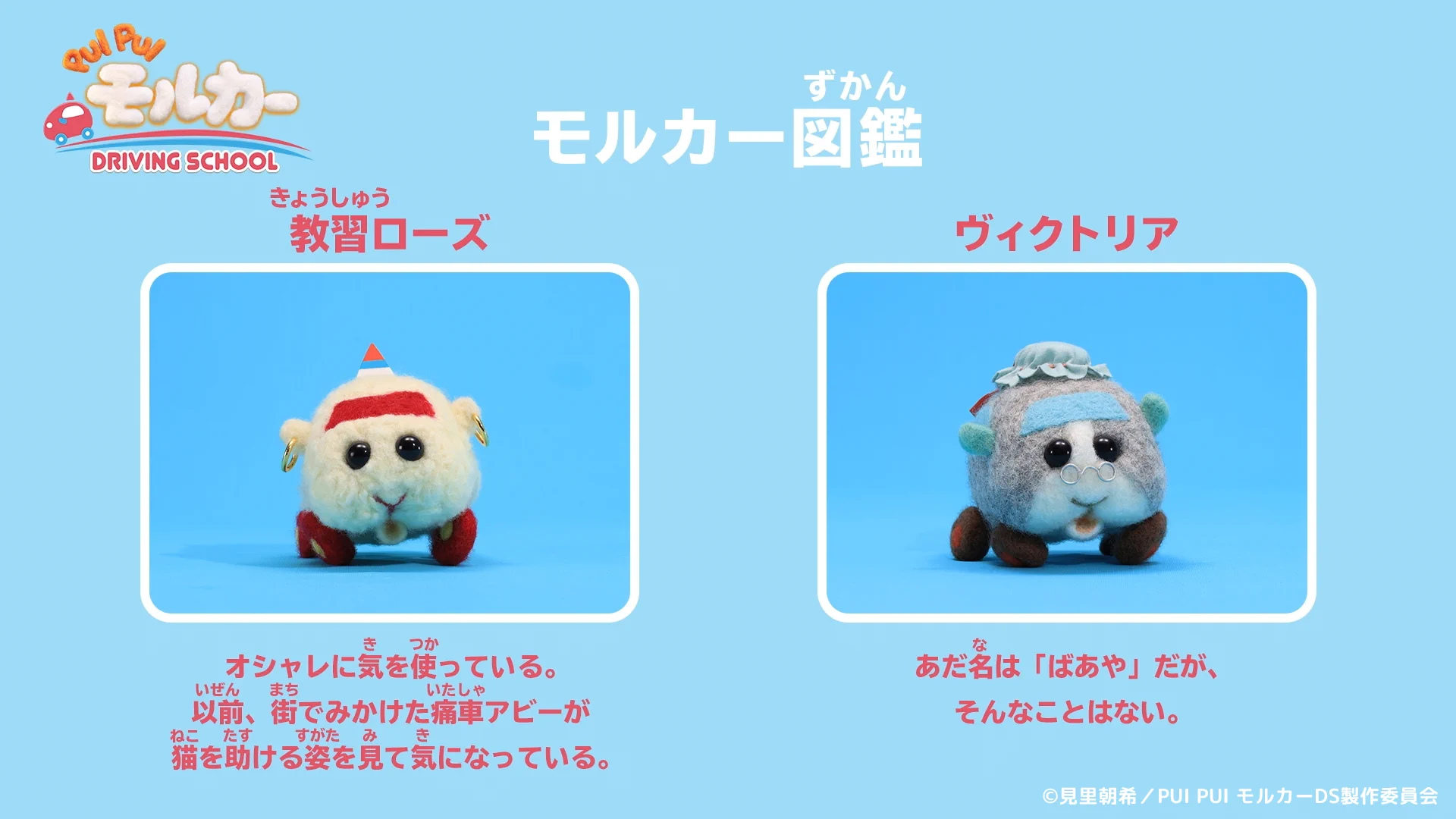PUI PUI モルカー【公式】 on X: 