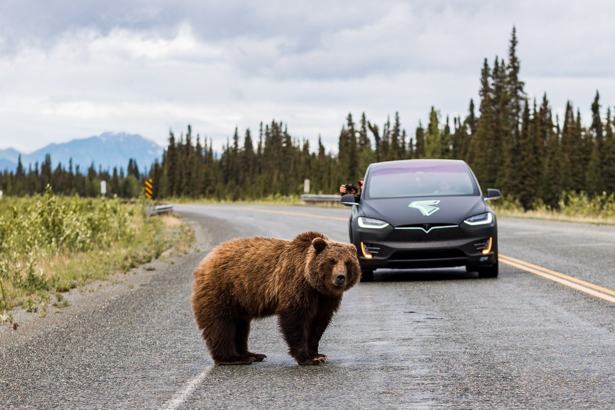 OliverUmpierre's tweet photo. Alaska to Patagonia on two @Tesla !! We just accomplish this mission with @Electr_Americas. Now it’s time for the documentary to show the world how we did it. Let’s do it @elonmusk ⚡️🌎 #ev https://t.co/uDgqsa6fcZ