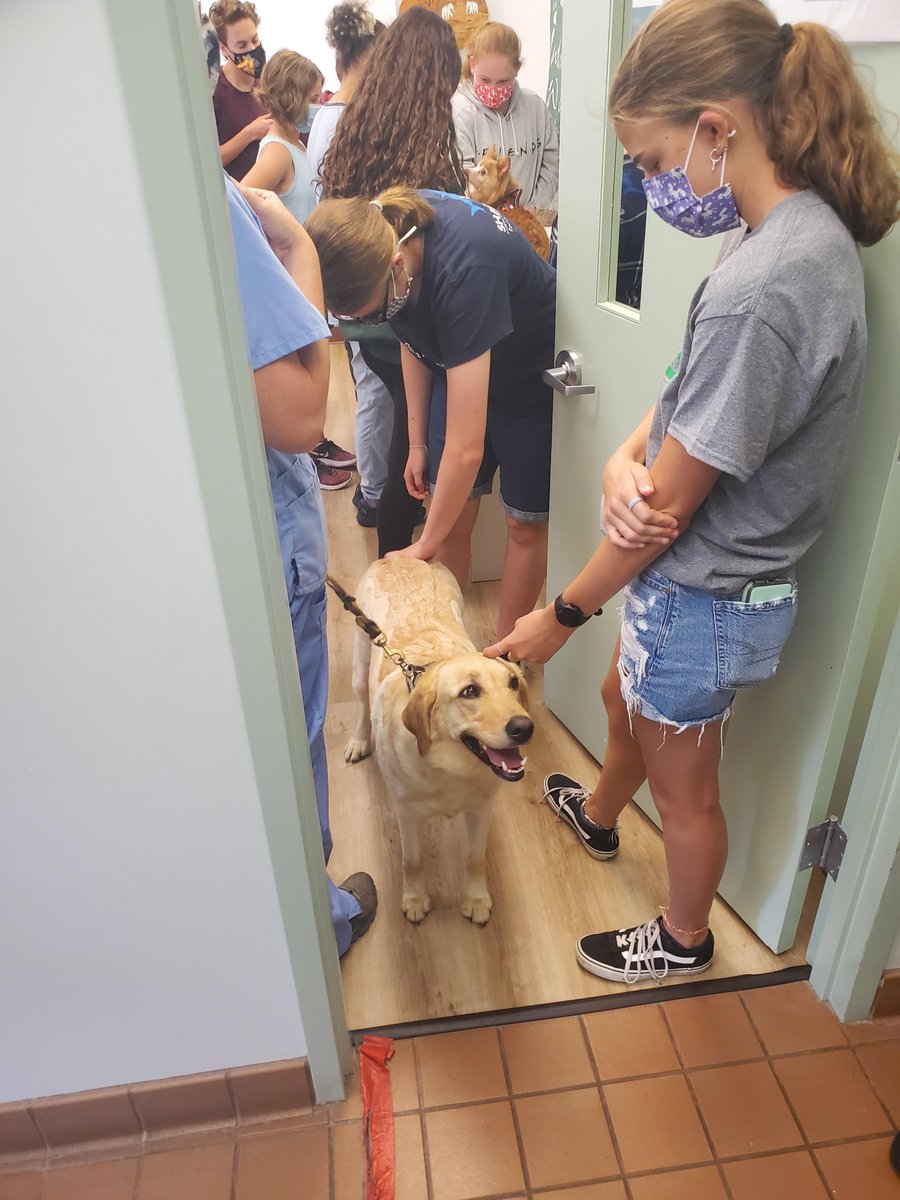 DelValGradCE's tweet photo. Congratulations on your new position, Dr. Goldblum! We're glad to have you return for another summer with DelVal’s Inspire U! and Kids! U and programs, including Exploring Veterinary Science #inspireu  #kidsu #buckscounty  https://t.co/fyfutKrgqk https://t.co/ip0rGmA5ZH