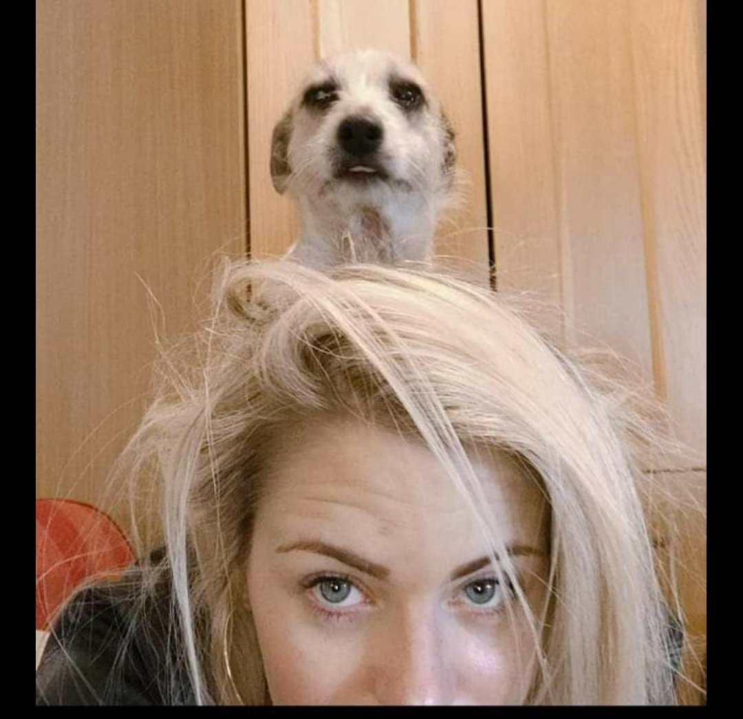 My favourite photo of Alicia and Gary