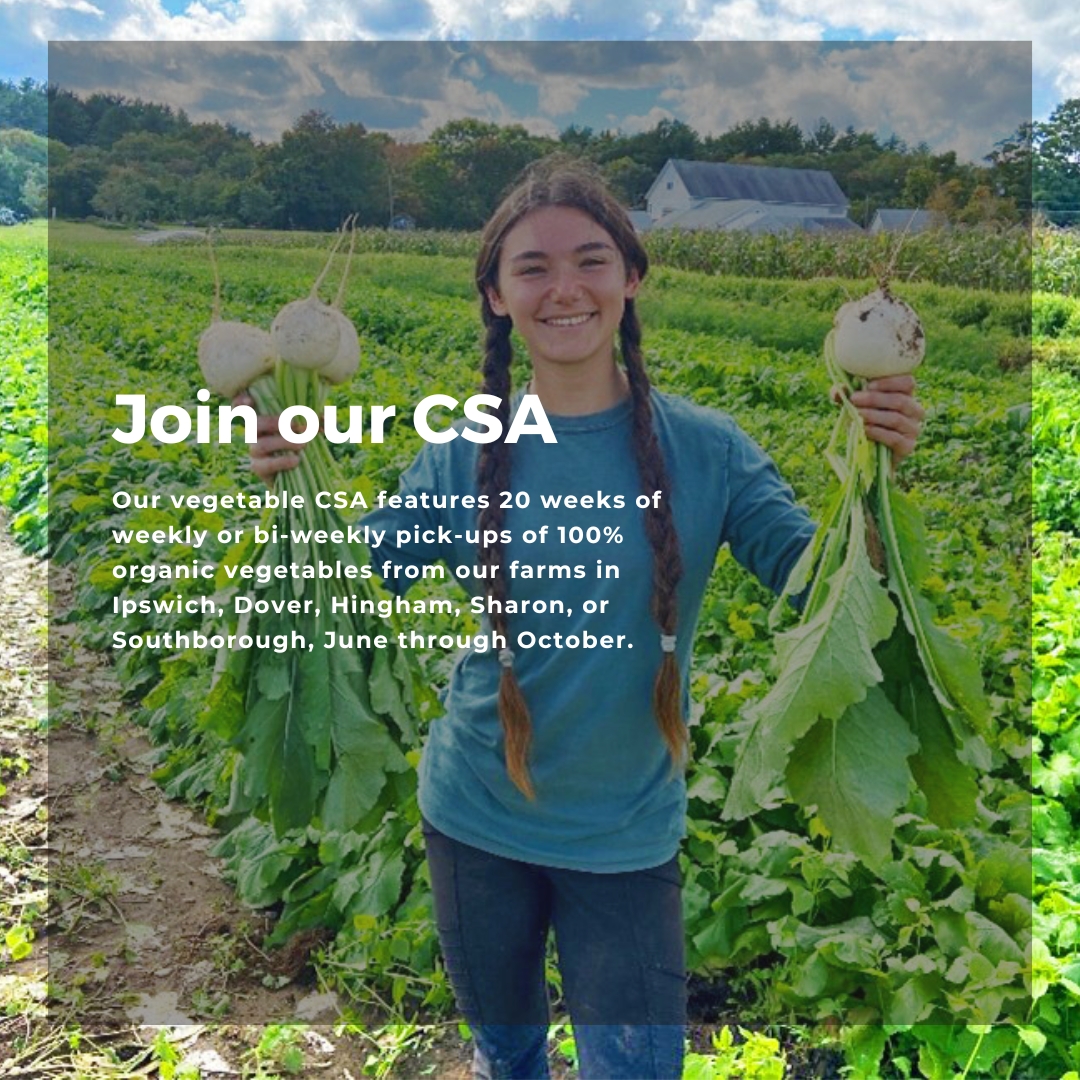 This year, join a CSA program at one of our working farms in Ipswich, Dover, Hingham, Sharon, or Southborough. The vegetable CSA features 20 weeks of weekly or bi-weekly pick-ups of 100% organic vegetables from our farms, June through October. Visit: bit.ly/3ItLvBs