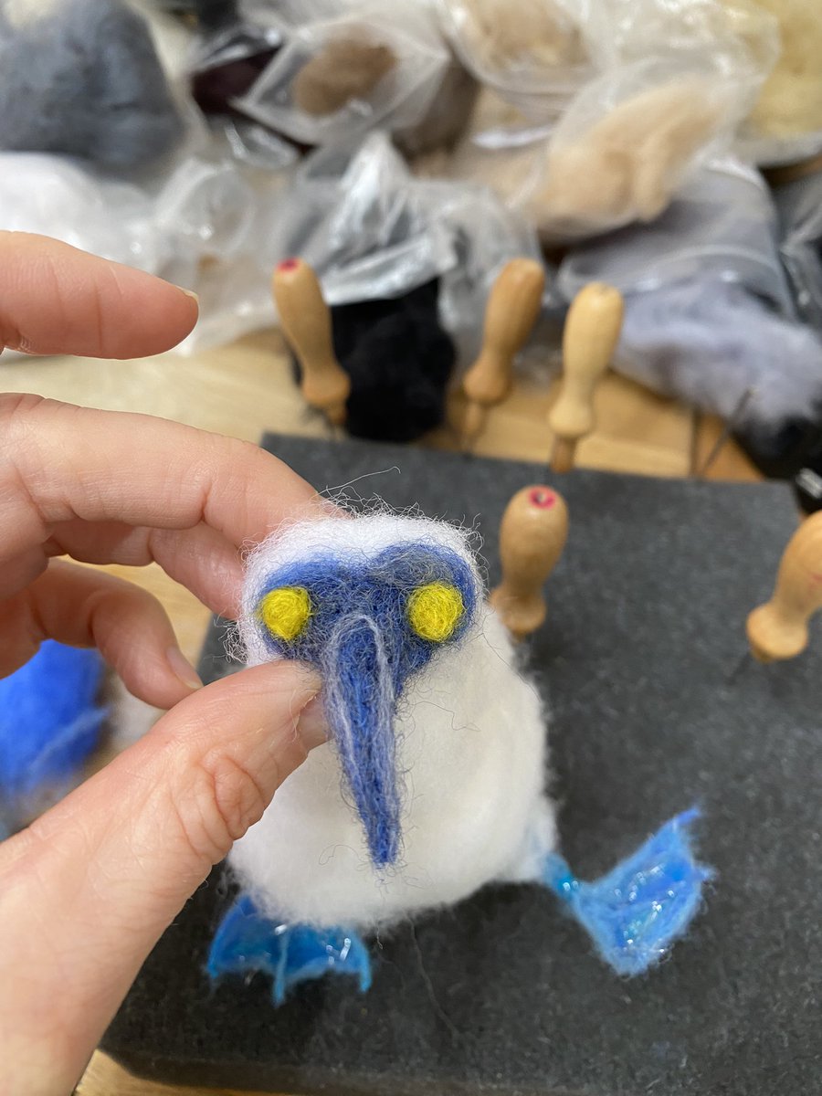AbiFelting's tweet photo. Booby bird order underway….                         #nigel  #boobybird #bluefootedbooby #bluefootedboobies #birds #seabird #gannet #needlefelting https://t.co/lMBYUDxhzq