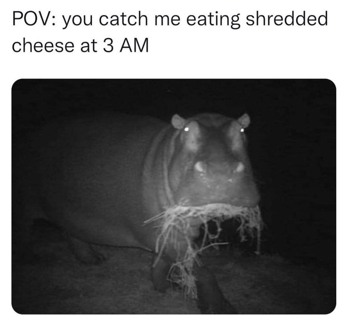 MensHumor's tweet photo. Actual photo of me last night https://t.co/JTeiPfe1Re