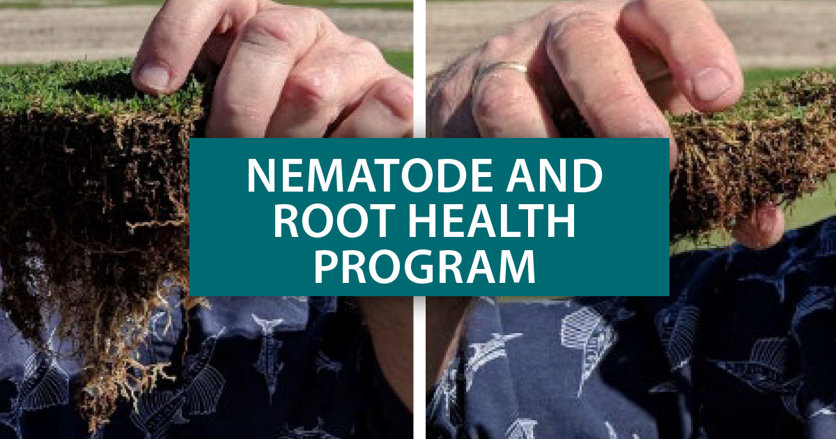 The cooler fall weather results in a slow but steady retraction of root systems leading into winter. 

Read more about the Harrell's root health program>> harrells.com/Blog/Post/nega…

#soilhealth #nematodes #lawncare #agronomy #plantscience #growingabetterworld #harrells #turphdudes