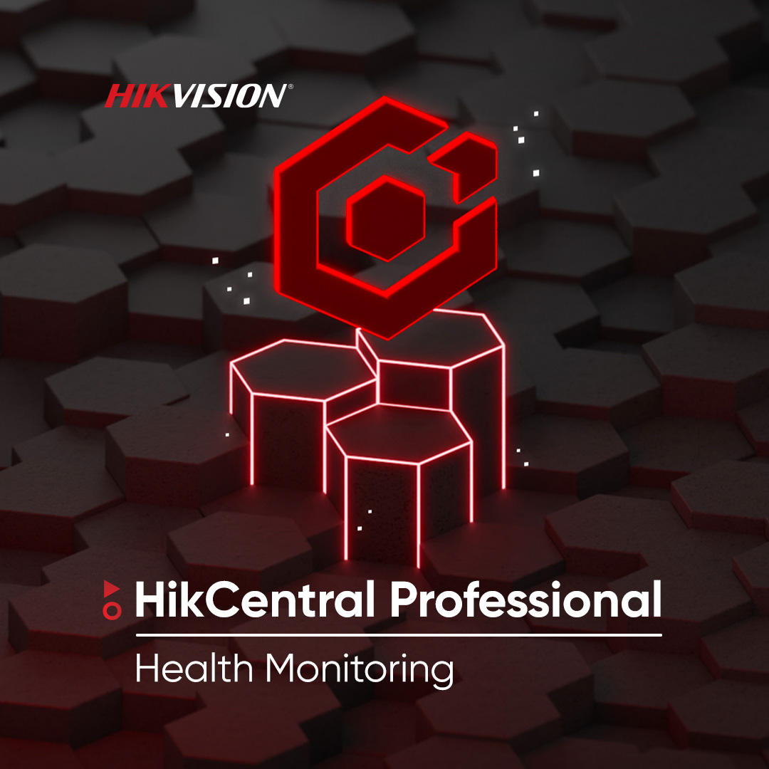 Hikvision professional cheap