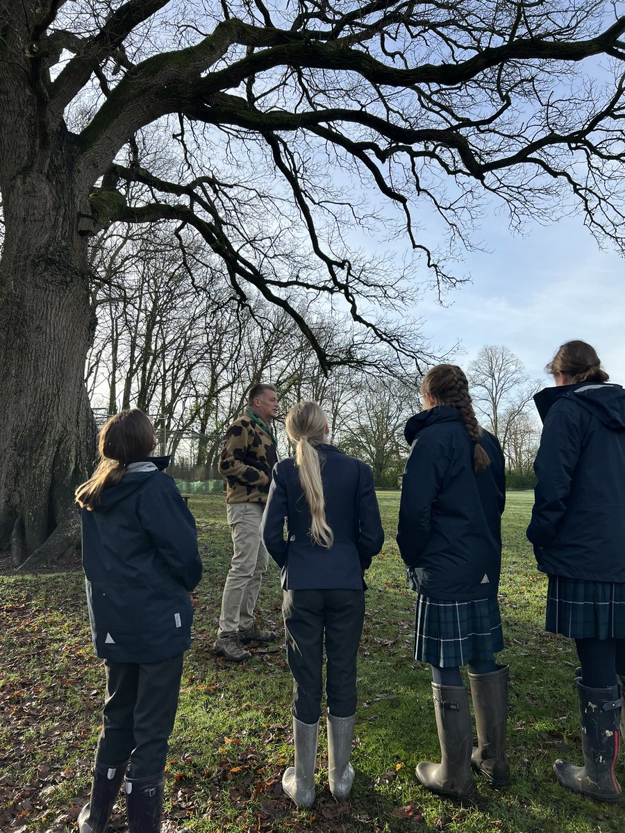 Mrs Rebecca Smith tweet media