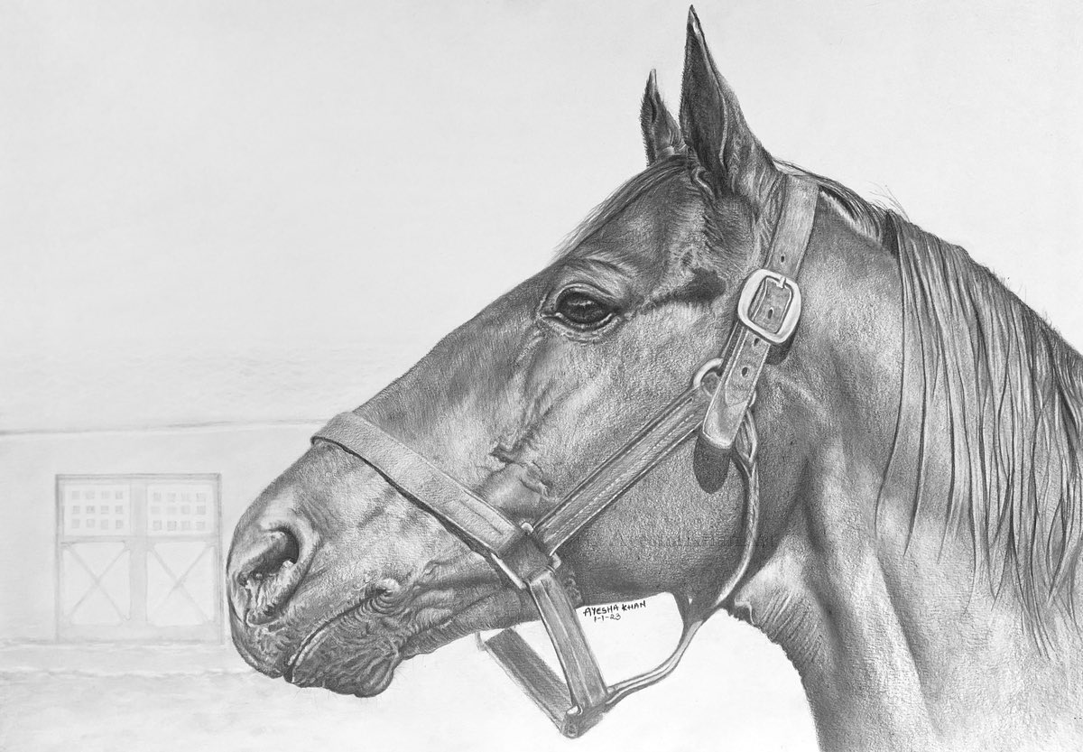 AyeshaKhanArt's tweet photo. Man o' War (March 29, 1917 – November 1, 1947)
#manOwar
the greatest racehorse of all time.
#takechargelady #bloodhorse #worldhorseracing #WHR #equineart #HorseRacing #throughbred #GOAT #pencil #sketchart #championsofthetrack https://t.co/g4IM7olVeK