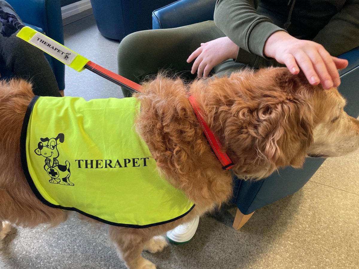 SKYE boosted both patients and staff morale at Kylepark this morning 🐶 ☀️ @TherapetC #inpatients #occupationaltherapy #pettherapy