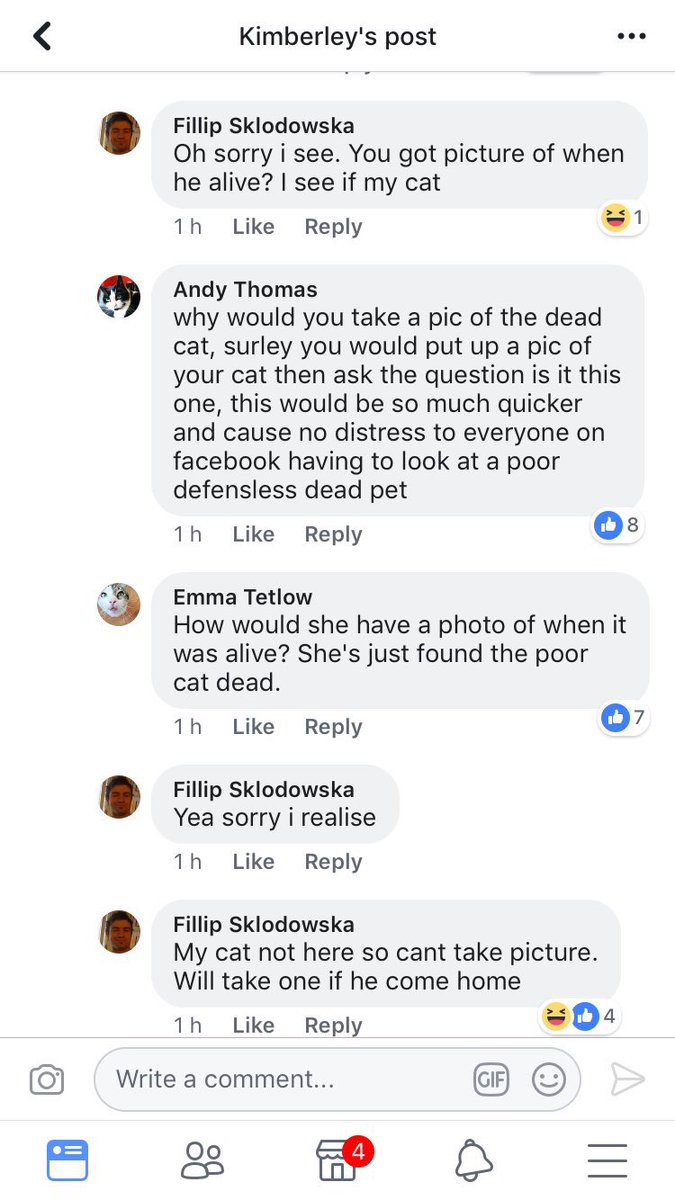 Andrew Bloch tweet media