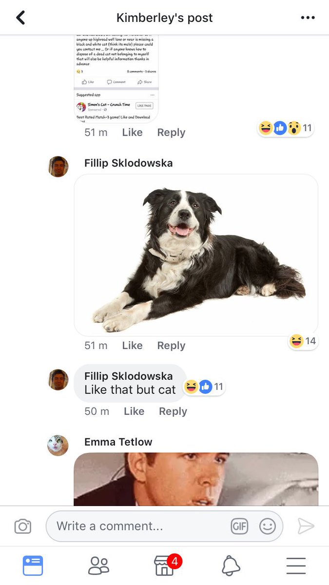 Andrew Bloch tweet media