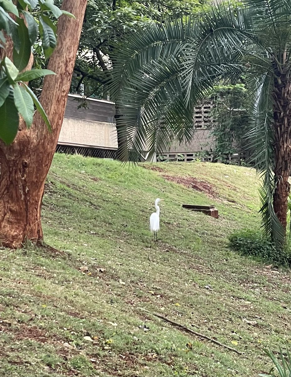 Inger Andersen tweet media