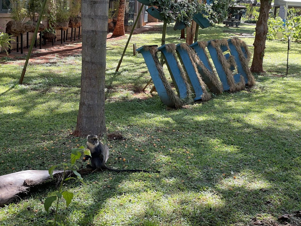 Inger Andersen tweet media