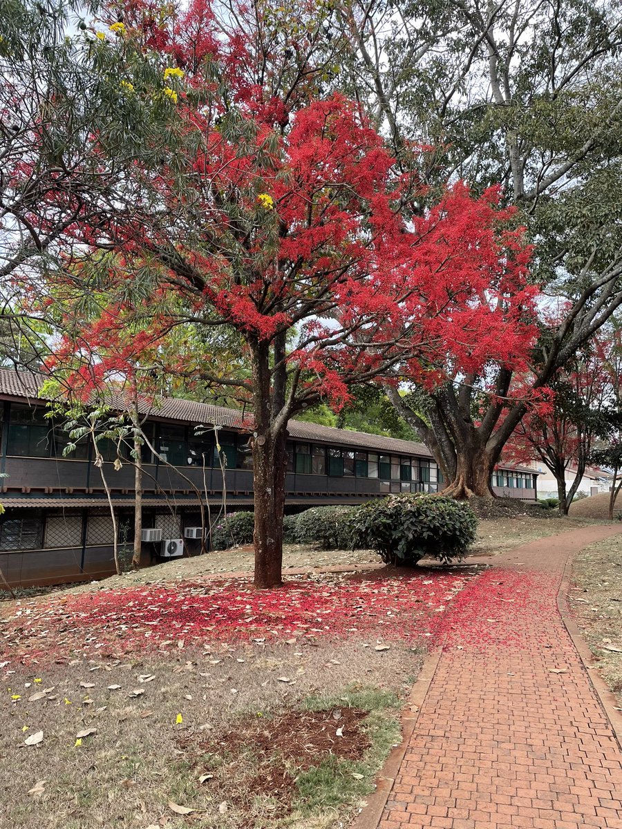 Inger Andersen tweet media