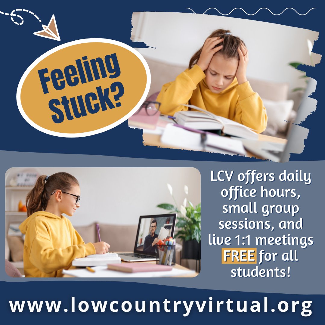 Low Country Virtual tweet media