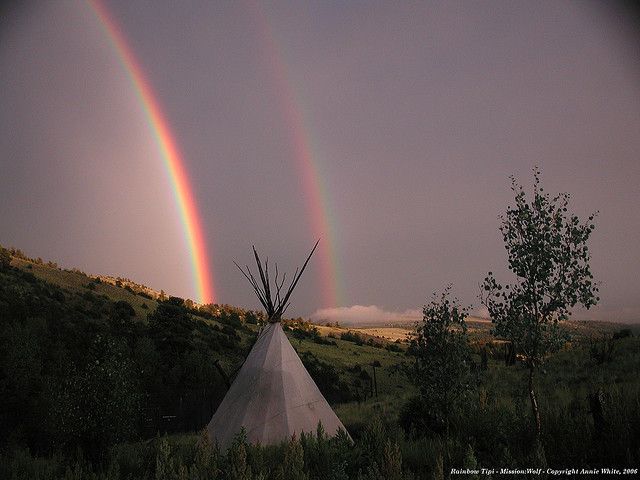 Native3rd's tweet photo. “The old Lakota was wise. He knew that man's heart away from nature becomes hard; he knew that lack of respect for growing, living things soon led to lack of respect for humans, too.”

― Luther Standing Bear, 1868-1939- Sicanju/Oglala Lakota 🪶✨ https://t.co/Fkjzs1WXNr