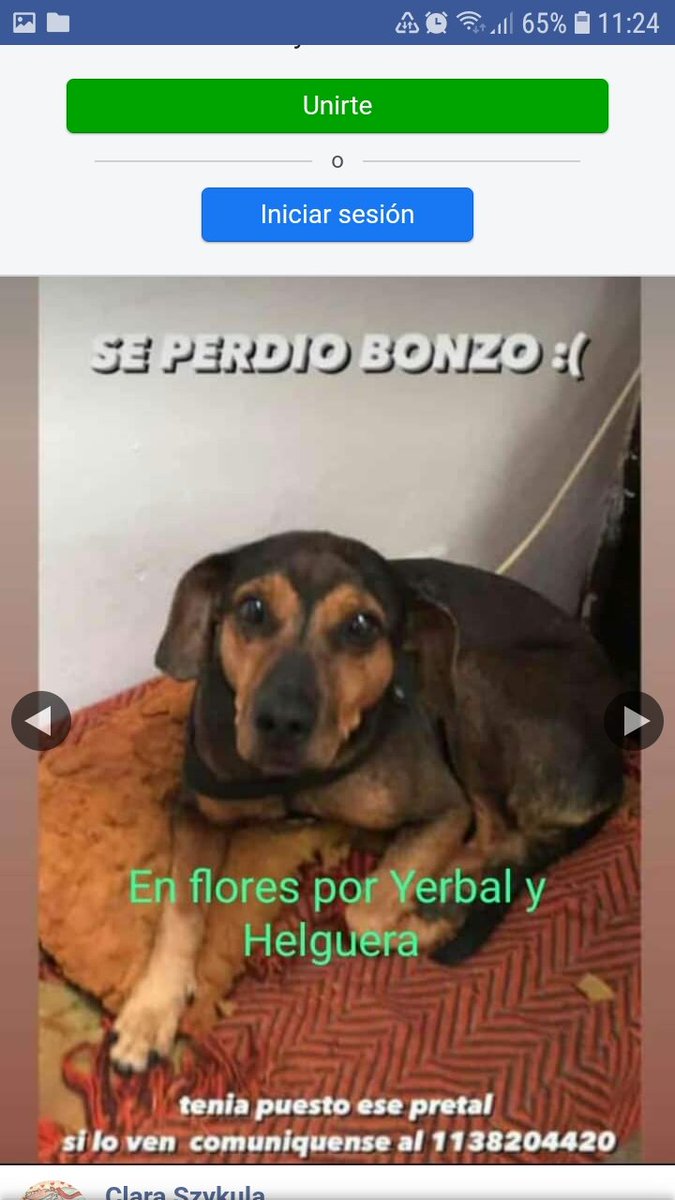 Atención Flores, se perdió este perrito. Difundamos x favor