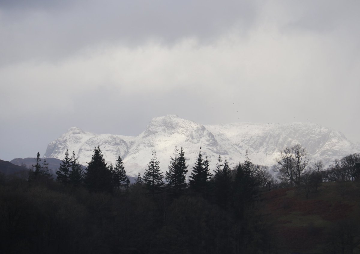 Uncavin's tweet image. Wuthering.